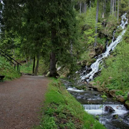 Forest Retreat Apartino - U Lesa, Parkovani Zdarma, Starlink 250 Mbs, Terasa & Grill, Soukrome Ohniste, Nespresso, Netflix 아파트 *