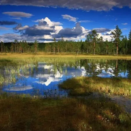 Forest Retreat Apartino - U Lesa, Parkovani Zdarma, Starlink 250 Mbs, Terasa & Grill, Soukrome Ohniste, Nespresso, Netflix * 예세니크