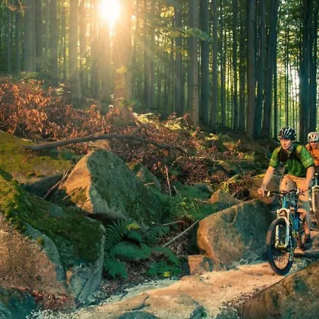 아파트 Forest Retreat Apartino - U Lesa, Parkovani Zdarma, Starlink 250 Mbs, Terasa & Grill, Soukrome Ohniste, Nespresso, Netflix