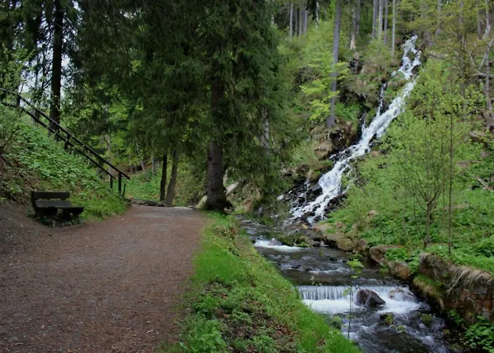 Forest Retreat Apartino - U Lesa, Parkování Zdarma, Starlink 250 Mbs, Terasa&grill, Soukromé Ohniště, Nespresso, Netflix Appartement *