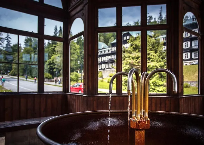 Forest Retreat Apartino - U Lesa, Parkování Zdarma, Starlink 250 Mbs, Terasa&grill, Soukromé Ohniště, Nespresso, Netflix Appartement