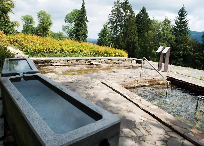 Appartement Forest Retreat Apartino - U Lesa, Parkování Zdarma, Starlink 250 Mbs, Terasa&grill, Soukromé Ohniště, Nespresso, Netflix Jeseník
