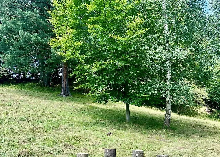 Forest Retreat Apartino - U Lesa, Parkování Zdarma, Starlink 250 Mbs, Terasa&grill, Soukromé Ohniště, Nespresso, Netflix Jeseník